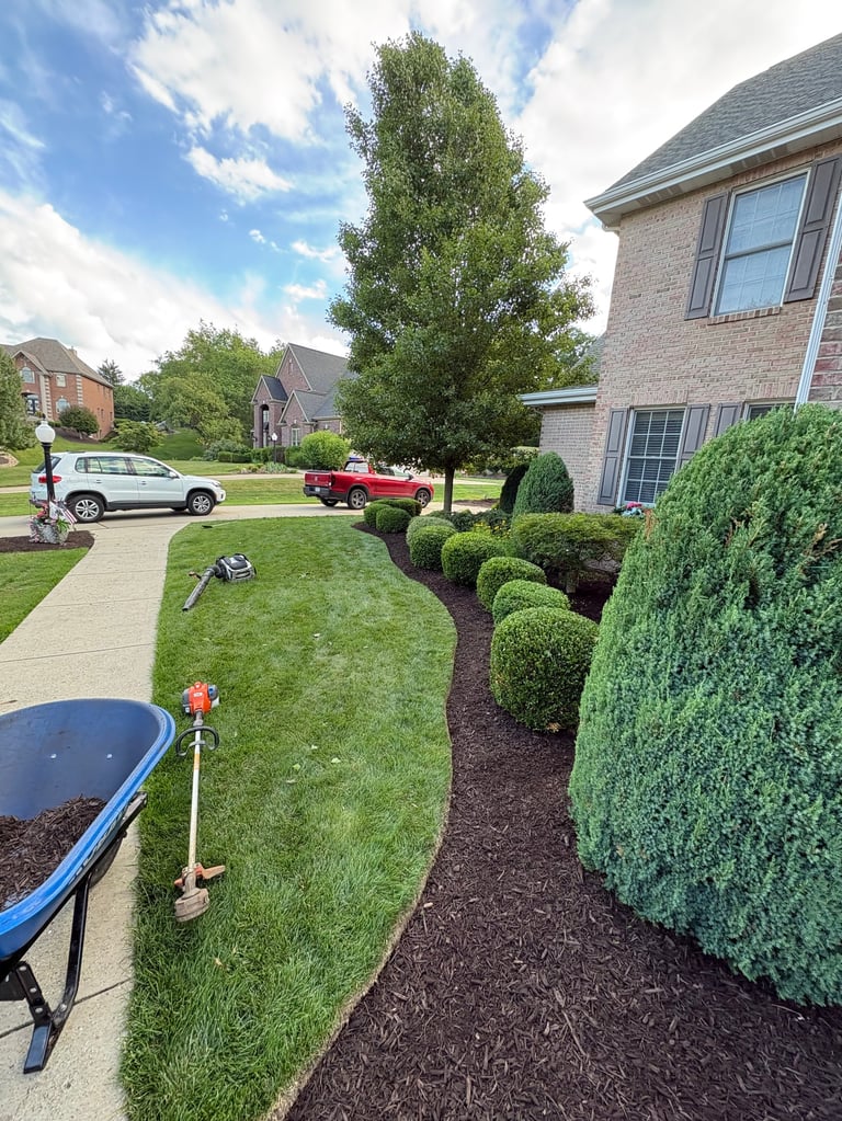 Suburban home with manicured lawn, green hedges, parked cars on driveway, and landscaped garden beds