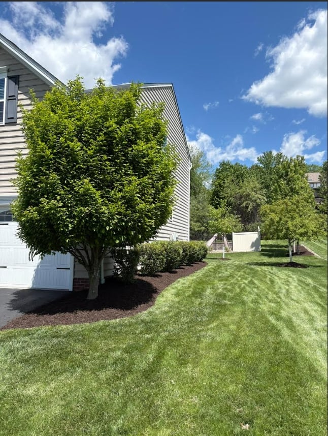 Suburban home with white siding, manicured lawn, and large green tree in front yard on sunny day
