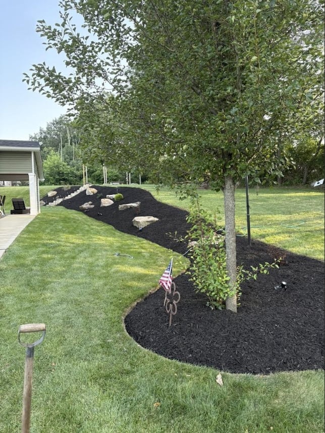 Residential landscape with curved black mulch garden bed, young trees, and green lawn next to house with deck