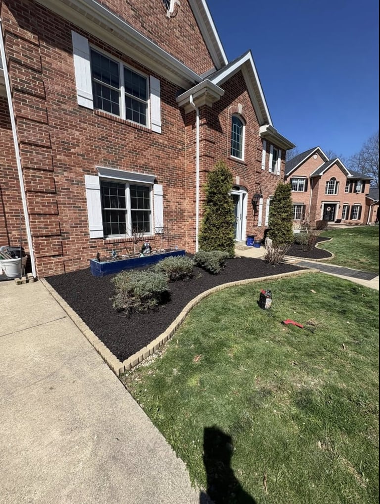 Outdoor space transformation with professional landscaping