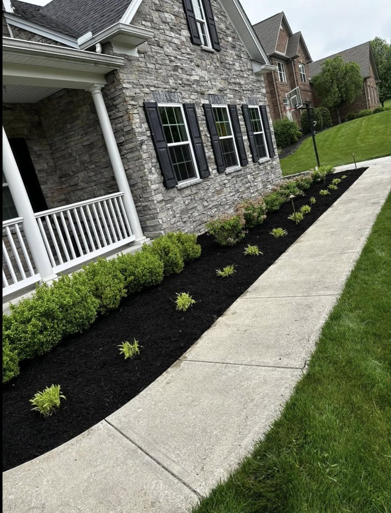 Yard transformation showcasing landscaping excellence