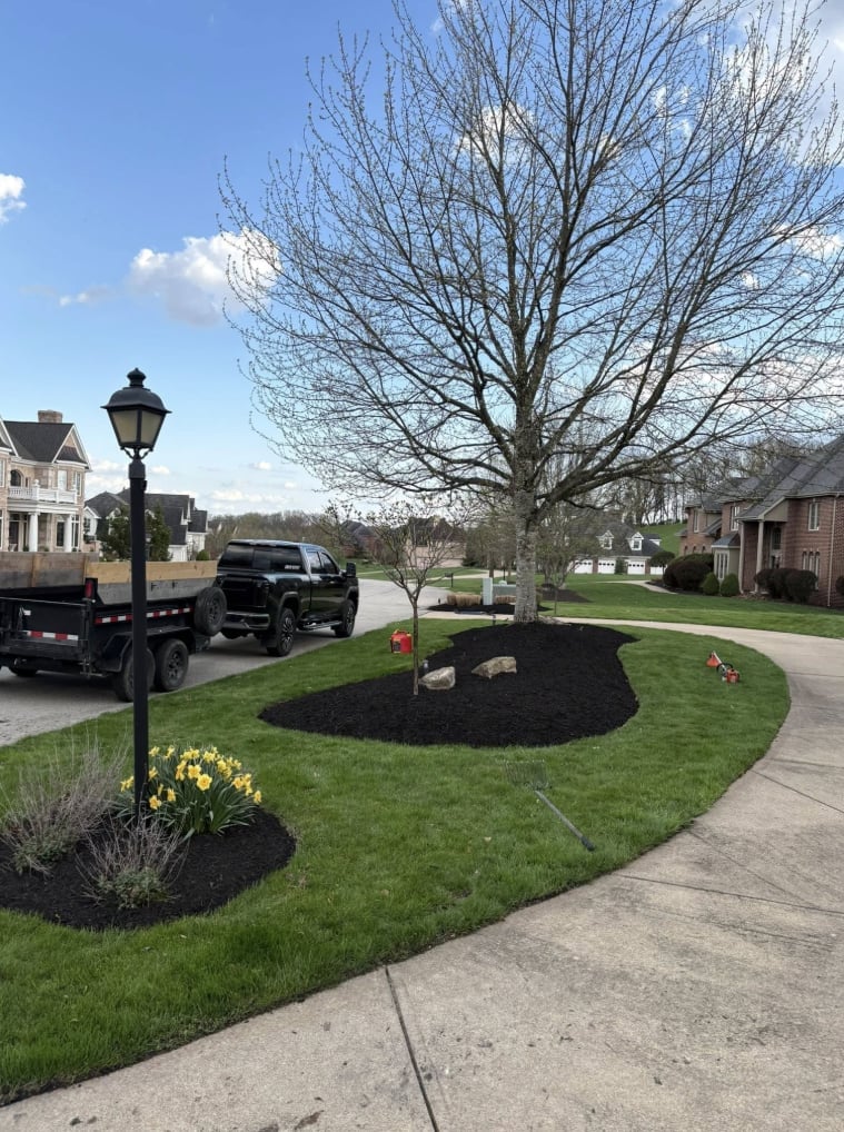 Completed landscaping project with quality results