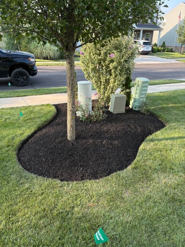 Suburban front yard with black mulch landscaping bed around a mature tree, climbing ivy, and utility boxes, adjacent to a residential street with parked vehicles