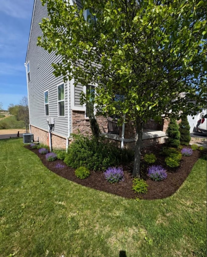 A house corner with white siding and brick foundation, surrounded by manicured landscaping including purple flowering plants, shrubs, and a large tree, with green lawn in foreground